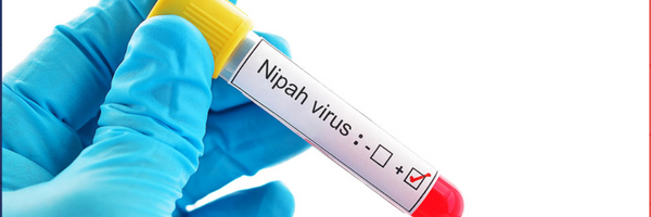 Health Emergency: Nipah Virus Strikes Again, What Do You Need To Know About It, A Virus With High Mortality Rate